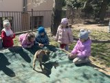2026 04 08 Kůzlata a jehňata185 resize