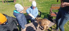 2026 04 08 Kůzlata a jehňata196 resize