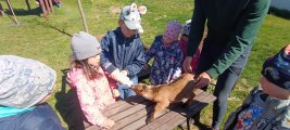 2026 04 08 Kůzlata a jehňata195 resize